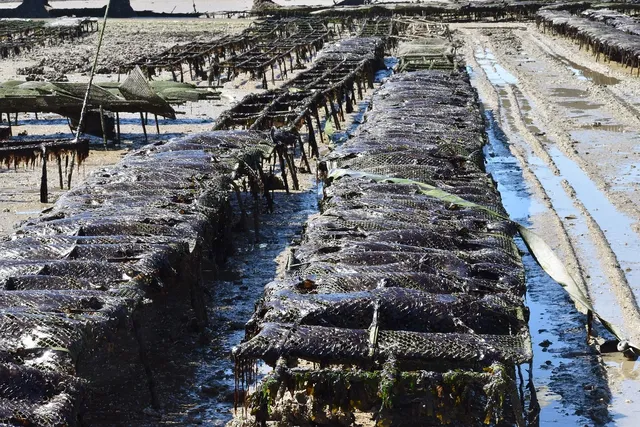VENTA PISCIFACTORIA VALDERREBOLLO. GUADALAJARA