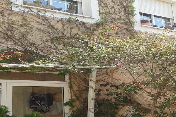 Pareado en venta en Mas Camarena /Valencia